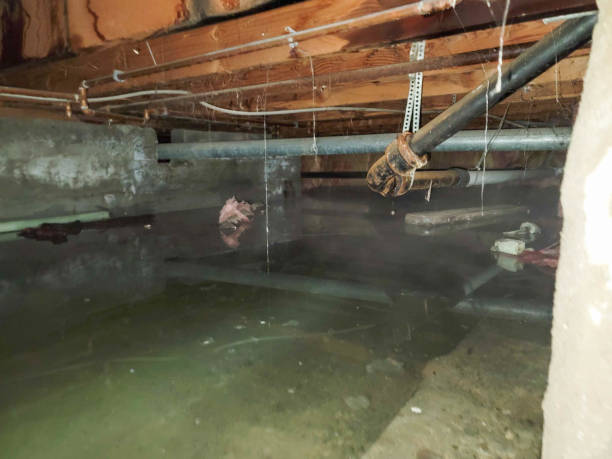 Best Water damage restoration near me  in Coos Bay, OR