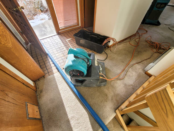 Best Professional water damage repair  in Coos Bay, OR