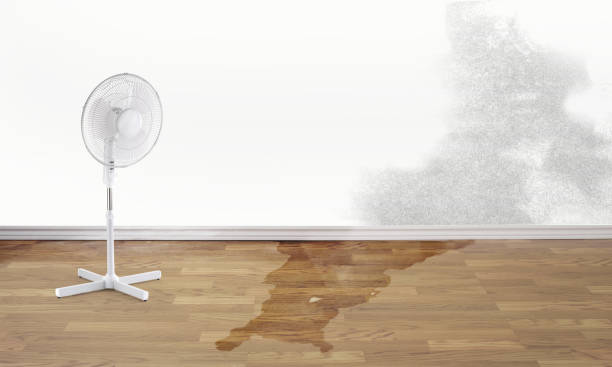 Local water damage restoration in Coos Bay, OR