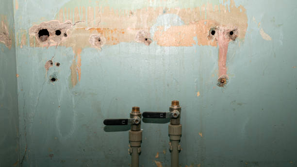 Best Flood damage cleanup  in Coos Bay, OR
