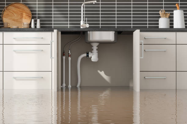Best Carpet water damage restoration  in Coos Bay, OR