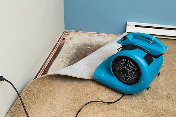 Best Sewage cleanup and water damage restoration  in Coos Bay, OR